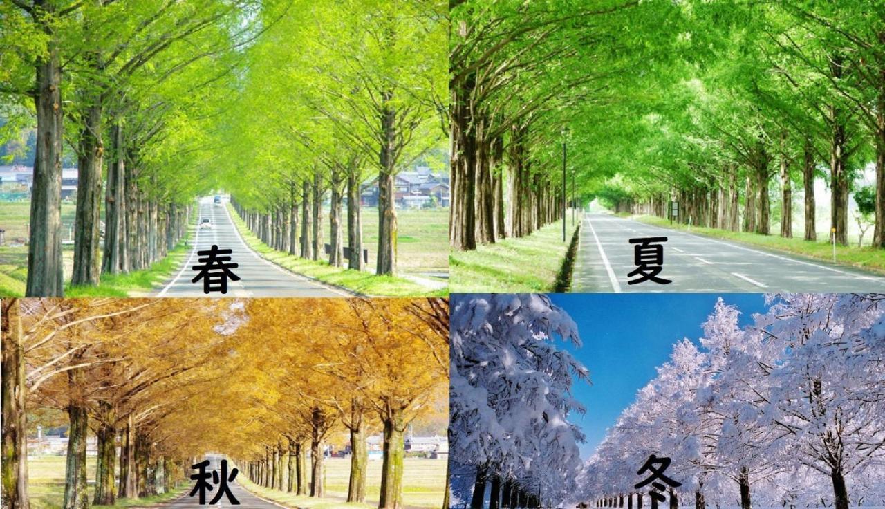 Roten Jacuzzi ・Morinoie In Metasequoia Namiki / Vacation Stay 3022 Takashima Exterior foto